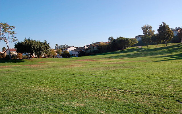 DSC 0516
