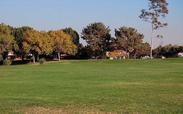 DSC 0501