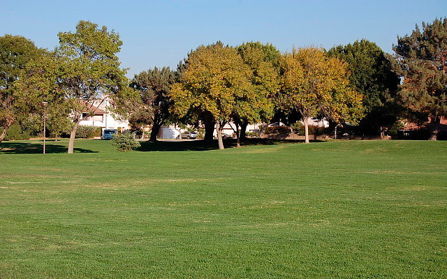 DSC 0515
