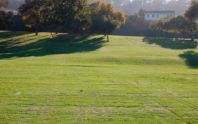 DSC 0520