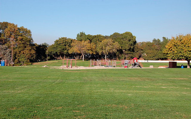 DSC 0514
