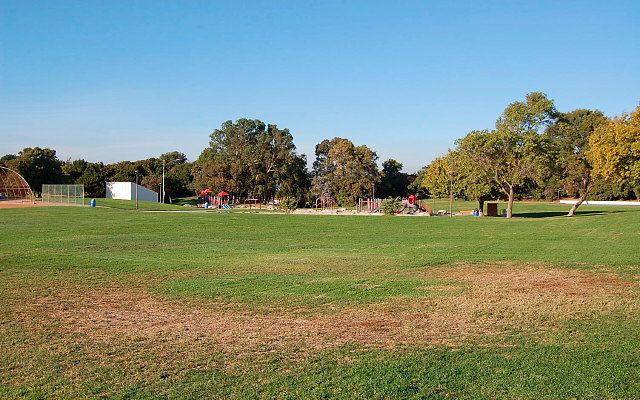 DSC 0525