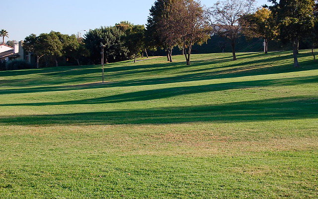 DSC 0503