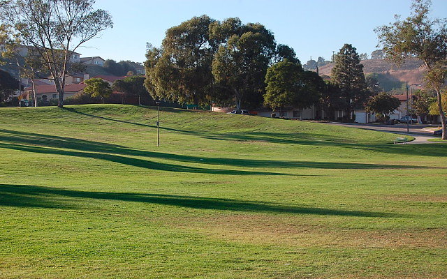 DSC 0526