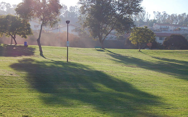 DSC 0509