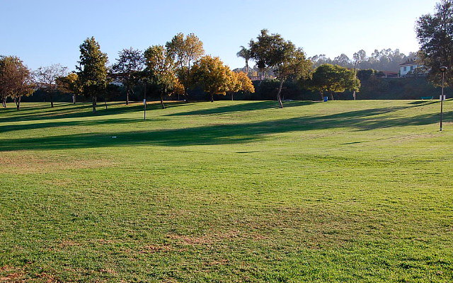 DSC 0500