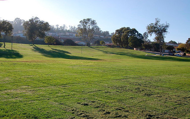 DSC 0518