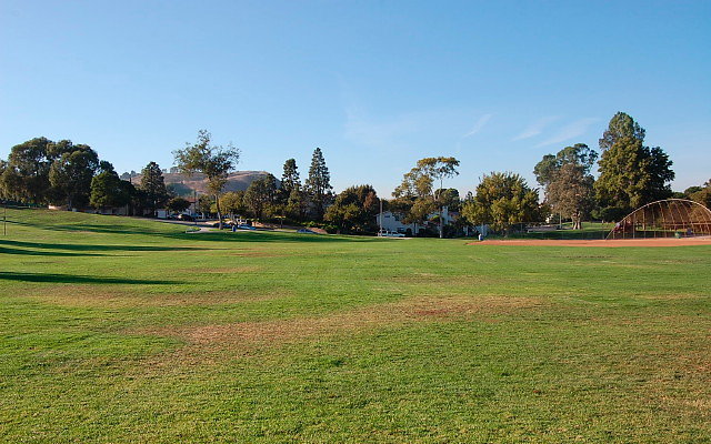 DSC 0524