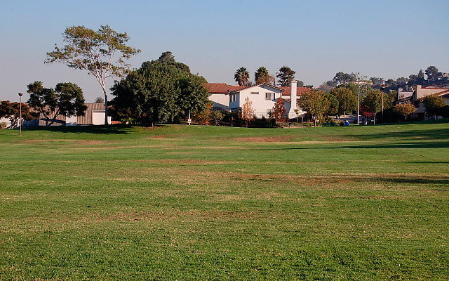 DSC 0502