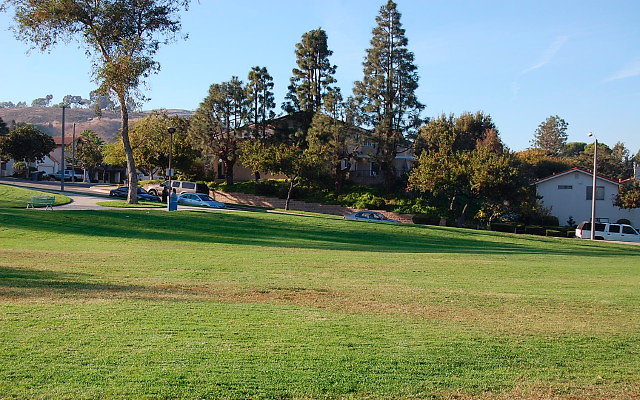 DSC 0511