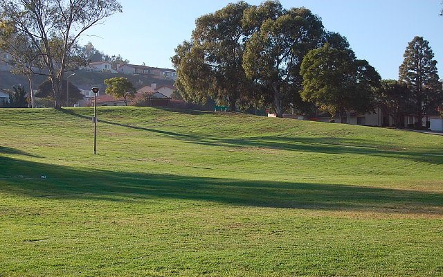 DSC 0510