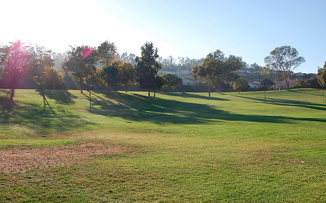 DSC 0522