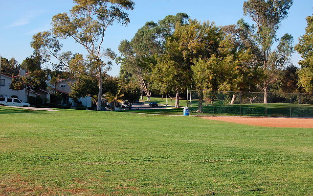 DSC 0512