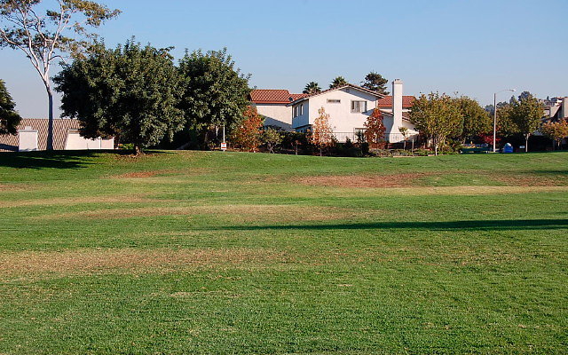 DSC 0505