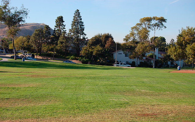 DSC 0527