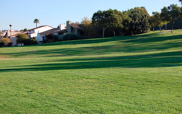 DSC 0506