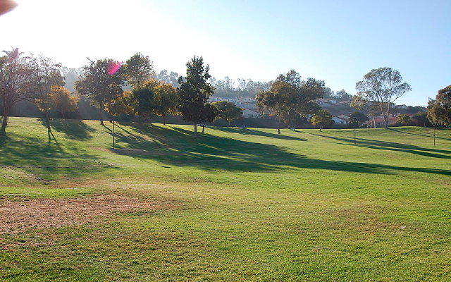 DSC 0523