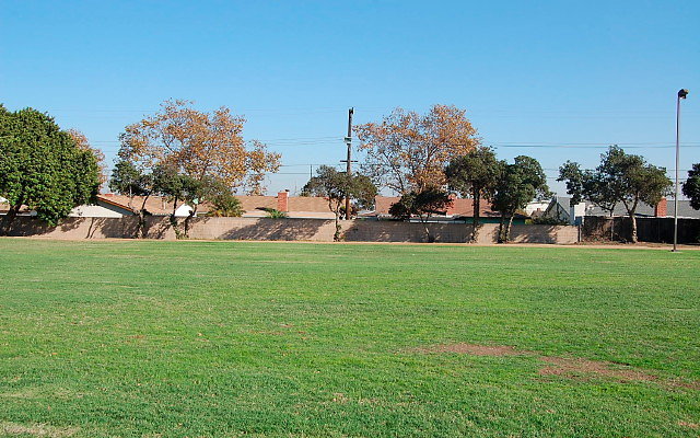DSC 0355