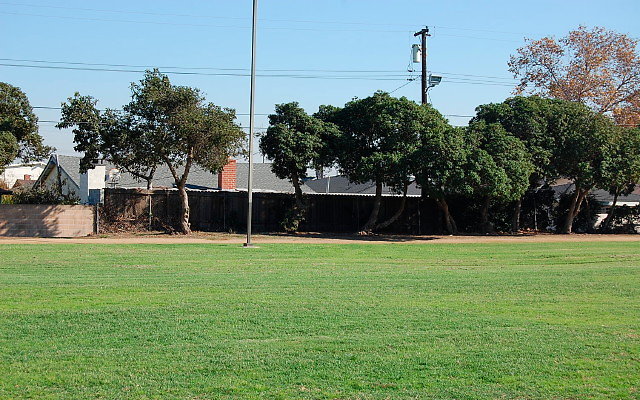DSC 0359