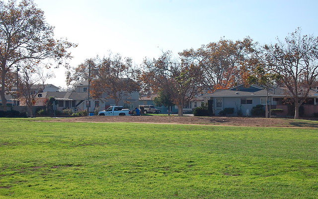 DSC 0363