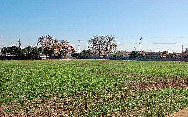 DSC 0349