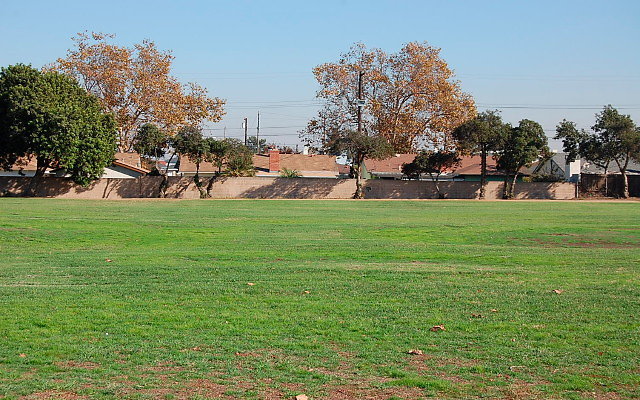 DSC 0351