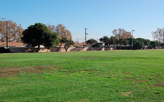 DSC 0382