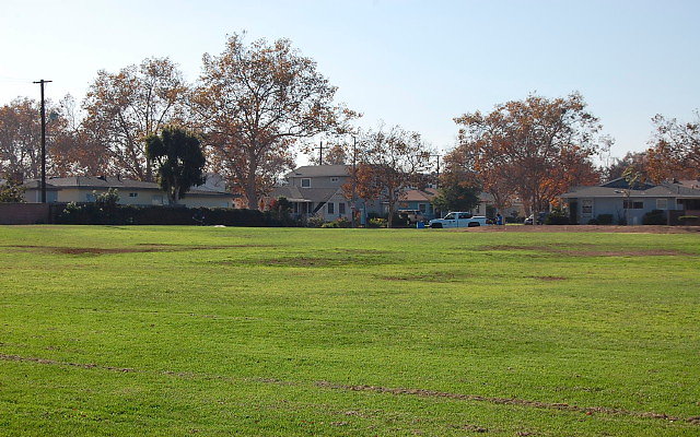 DSC 0372