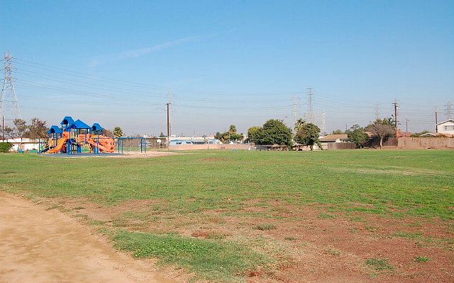 DSC 0347