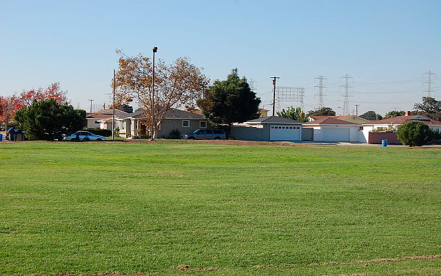 DSC 0374
