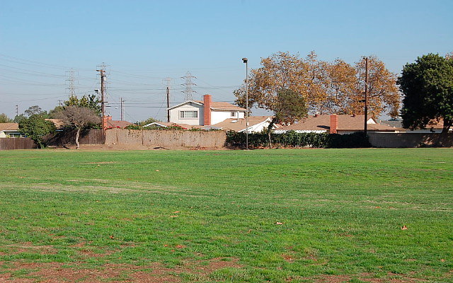 DSC 0350