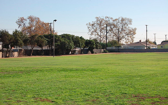 DSC 0385