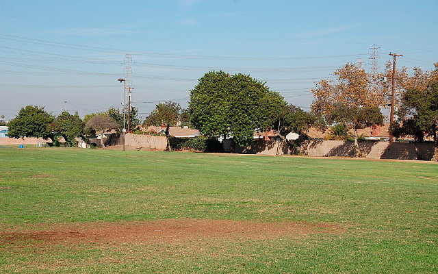 DSC 0380