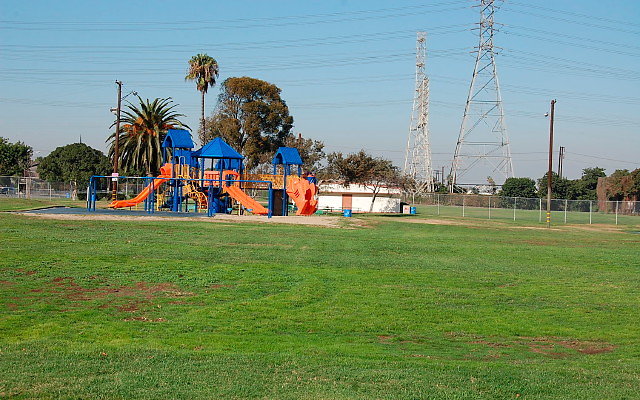 DSC 0367