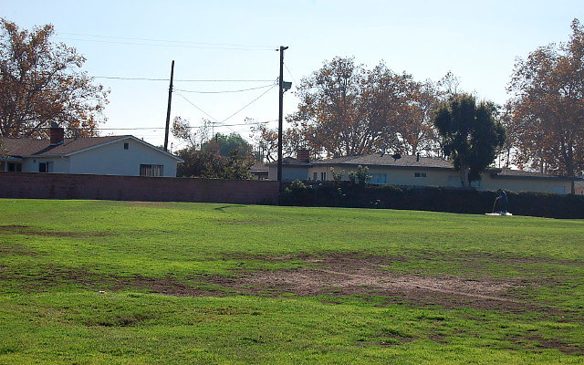 DSC 0362