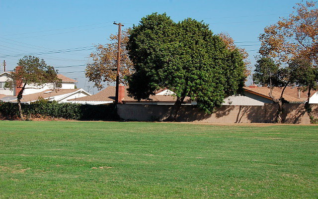DSC 0357
