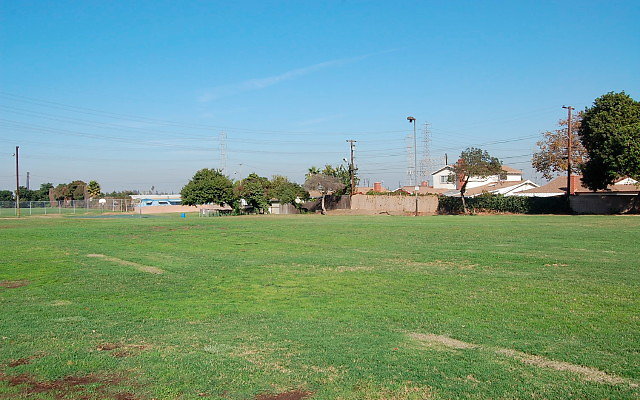DSC 0354