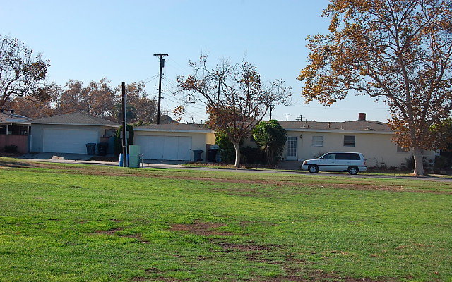 DSC 0364