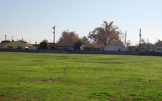 DSC 0386