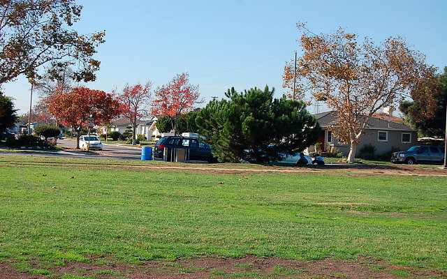 DSC 0365