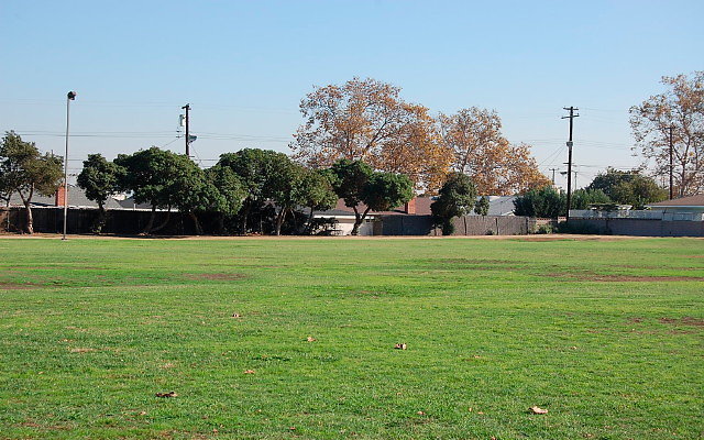 DSC 0352