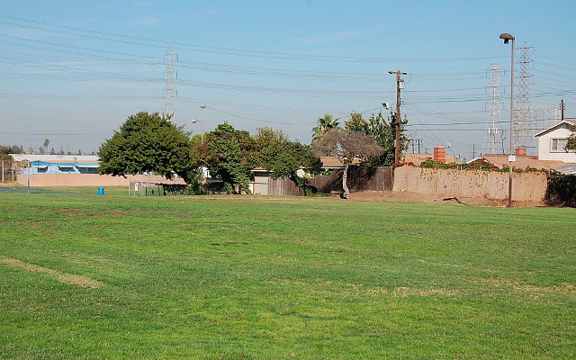 DSC 0368