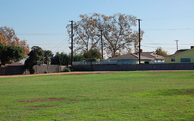 DSC 0360