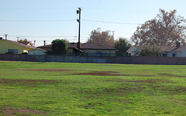 DSC 0361