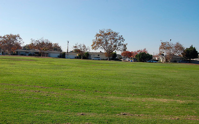 DSC 0370