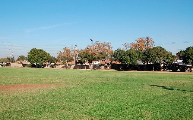 DSC 0377