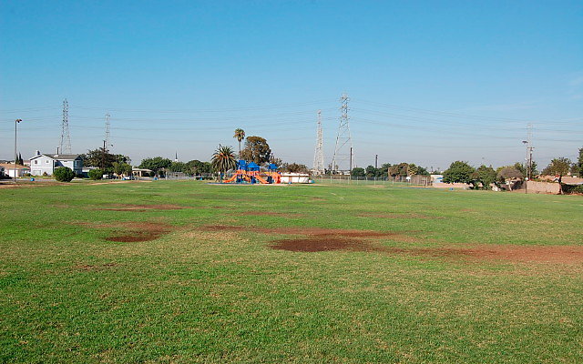 DSC 0376