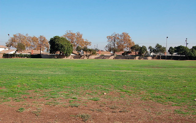 DSC 0348