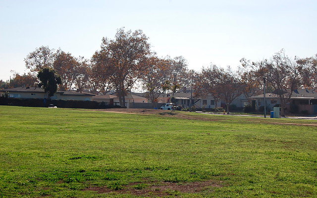 DSC 0387