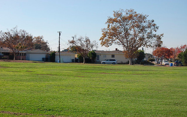 DSC 0373